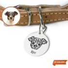 Custom Pet Tag from Photo, Personalized Dog Cat Name Id Tag