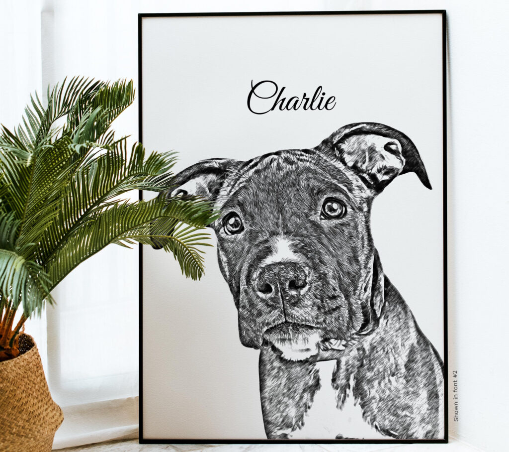 Custom Pet Portrait Pencil Sketch Dog Cat Drawing From Photo ...